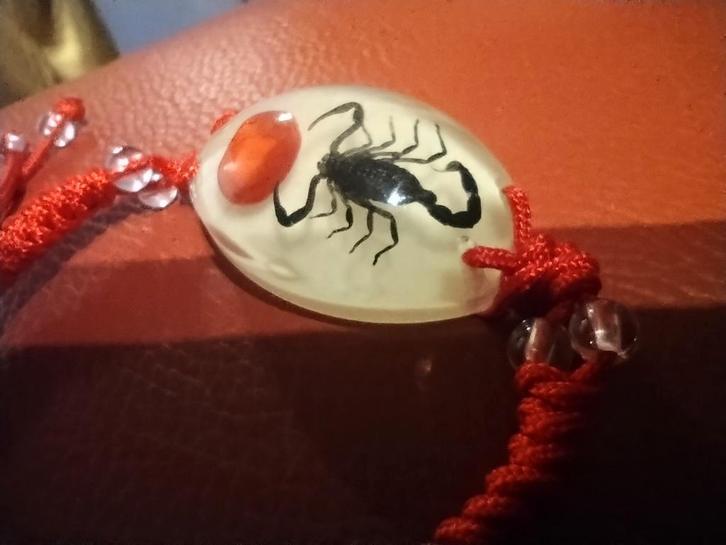 Rode armband met schorpioen in hars, Sieraden, Tassen en Uiterlijk, Armbanden, Nieuw, Rood, Ophalen of Verzenden