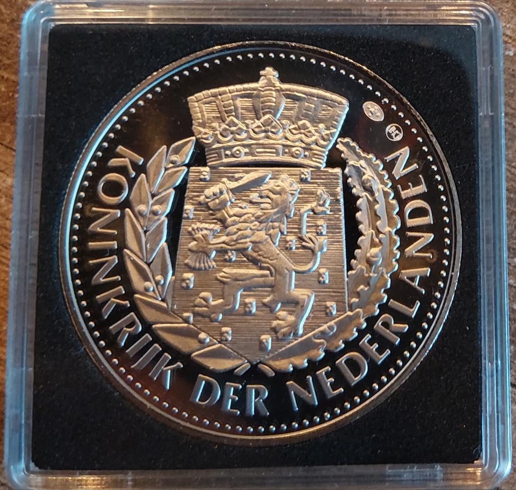 Penning afscheid van de 10 gulden (type 1), Postzegels en Munten, Penningen en Medailles, Ophalen of Verzenden, Overige materialen