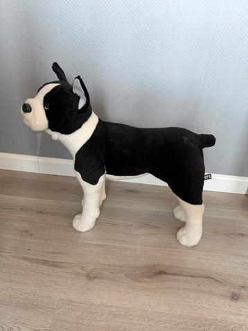 Stevige hond maat M (dierenwinkel model) beschikbaar voor biedingen