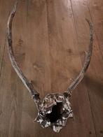 Gewei van hert, Ophalen of Verzenden, Overige materialen