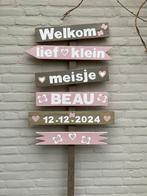 geboorte bord meisje, Kinderen en Baby's, Kraamcadeaus en Geboorteborden, Ophalen of Verzenden, Nieuw, Geboortebord