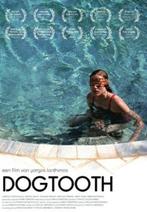 Dogtooth (2009) DVD - Giorgos Lanthimos FILMHUIS Erotiek, Cd's en Dvd's, Vanaf 16 jaar, Ophalen of Verzenden, Zo goed als nieuw