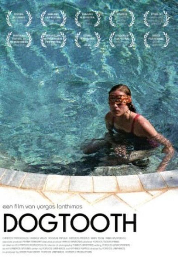 Dogtooth (2009) DVD - Giorgos Lanthimos FILMHUIS Erotiek, Cd's en Dvd's, Dvd's | Filmhuis, Zo goed als nieuw, Overige gebieden