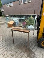 Diverse Aquarium/terraruim, Ophalen of Verzenden, Zo goed als nieuw, Minder dan 75 cm, Minder dan 60 cm