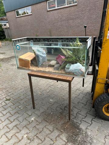 Diverse Aquarium/terraruim beschikbaar voor biedingen