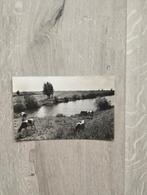 Hollands landschap in 1941., 1940 tot 1960, Gelopen, Ophalen of Verzenden