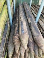 Weidepalen 12cm dik, 2 meter lang in topstaat, laatste 40 st, Ophalen, Zo goed als nieuw, 180 tot 250 cm, Palen