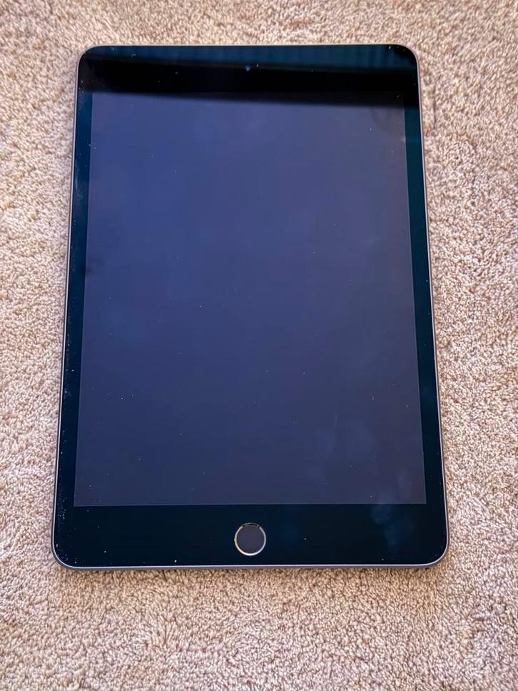 iPad mini 5 (2019) 256GB Space Gray - WiFi + Cellular, Computers en Software, Apple iPads, Gebruikt, Apple iPad Mini, Wi-Fi en Mobiel internet