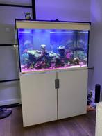 zeer nette Eheim aquarium 300L, Ophalen, Zo goed als nieuw, Gevuld zeewateraquarium