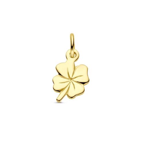 Gouden Klavertje Vier hangertje - 14 karaat goud, Sieraden, Tassen en Uiterlijk, Kettinghangers, Nieuw, Goud, Goud, Kruis of Symbool
