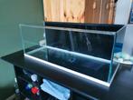 Aquarium 80cm, Dieren en Toebehoren, Gebruikt, Hok, Hamster, 75 tot 110 cm