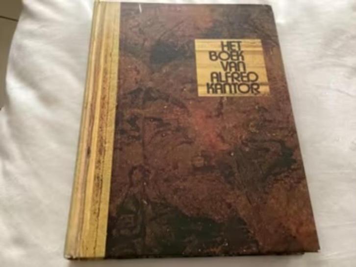 Het Boek van Alfred Kantor, Boeken, Oorlog en Militair, Zo goed als nieuw, Tweede Wereldoorlog, Ophalen of Verzenden