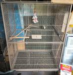 Mooi grote vogelkooi met toebehoren te koop, Dieren en Toebehoren, Ophalen, Gebruikt, Metaal, Vogelkooi