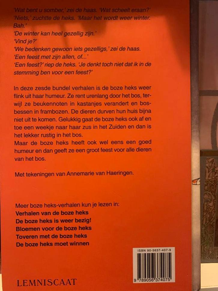 De Boze Heks Geeft Feest - Zo Goed Als Nieuw!, Boeken, Kinderboeken | Jeugd | onder 10 jaar, Zo goed als nieuw, Sprookjes, Ophalen of Verzenden