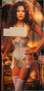 Poster Playmate Jessica Lee, Verzamelen, Rechthoekig Staand, Verzenden, Deurposter of groter, Zo goed als nieuw