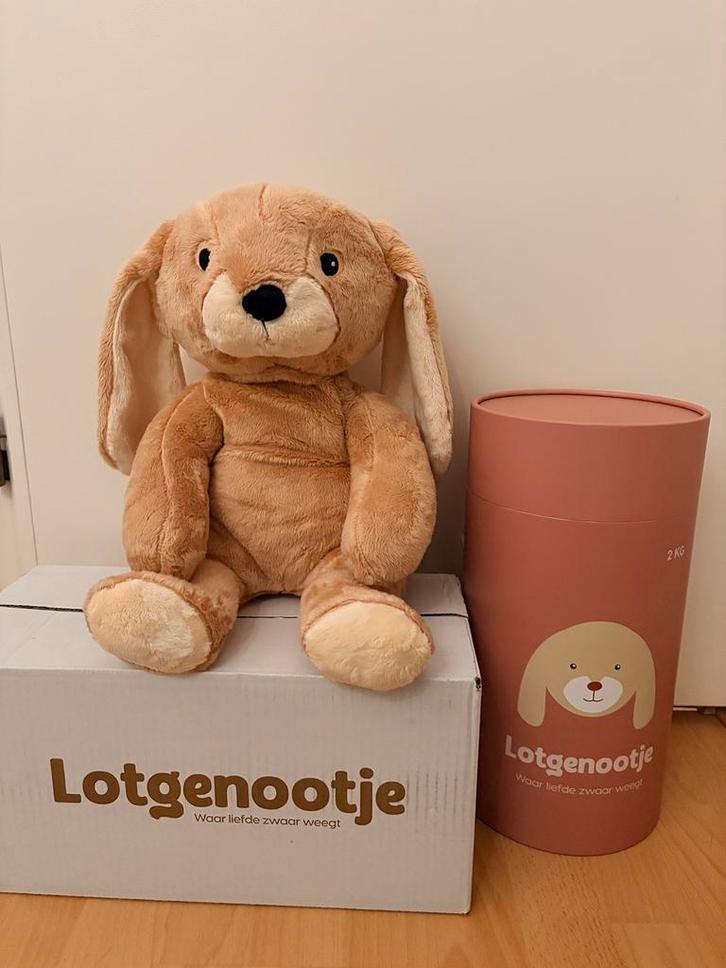 VERKOCHT  nieuw Lotgenootje knuffel konijn 2kg, Kinderen en Baby's, Speelgoed | Knuffels en Pluche, Nieuw, Konijn, Ophalen of Verzenden