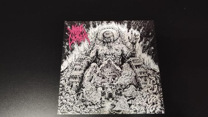 metal vinyl: Waking the Cadaver- Authority , PINK, limited, Cd's en Dvd's, Vinyl | Hardrock en Metal, Zo goed als nieuw, Verzenden
