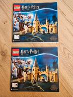 Lego 75953 Beukwilg, Harry Potter, Ophalen of Verzenden, Zo goed als nieuw