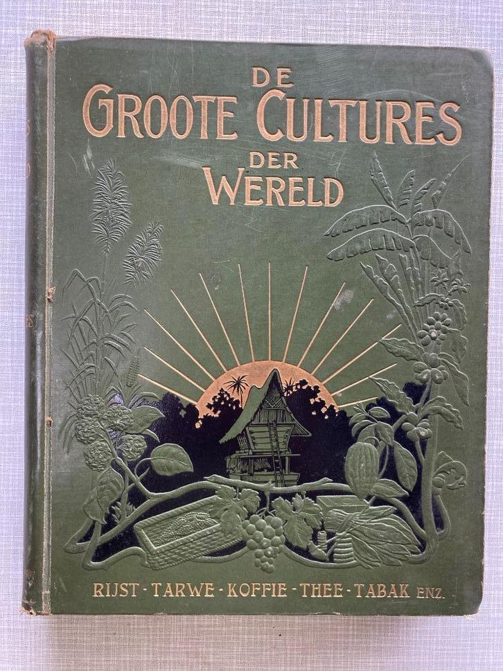 Boek "Groote Cultures der Wereld"., Antiek en Kunst, Antiek | Boeken en Bijbels, Ophalen of Verzenden