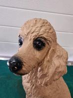 beeld poedel groot 31cm h, Ophalen of Verzenden