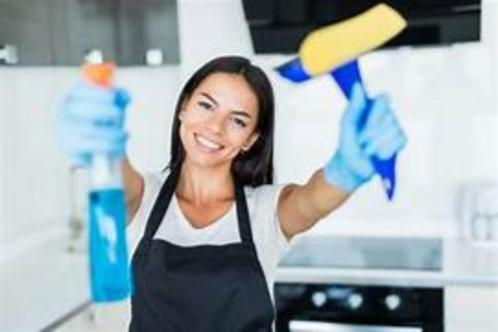 SchoonSchoonmaak aangebodenmaak aangeboden, Vacatures, Vacatures | Schoonmaak en Facilitaire diensten, MBO, Vanaf 10 jaar, Freelance of Uitzendbasis