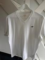 witte T-shirt Hollister maat M, Maat 48/50 (M), Wit, Ophalen of Verzenden, Zo goed als nieuw