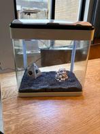 Superfish aquarium, Dieren en Toebehoren, Ophalen, Gebruikt, Leeg aquarium