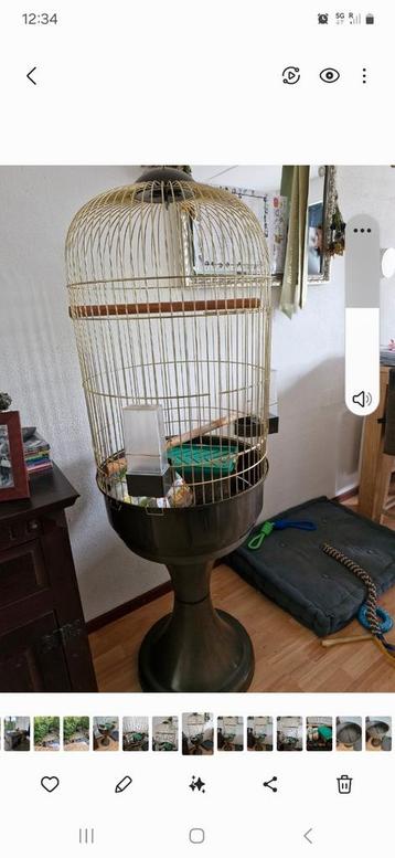 Vogelkooi  beschikbaar voor biedingen