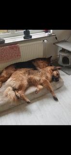 Gezocht poetsvrouw omgeving baexem, Overige uren