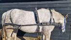 Enkelspan tuig full kunststof, Dieren en Toebehoren, Paarden en Pony's | Hoofdstellen en Tuigage, Ophalen of Verzenden, Zo goed als nieuw