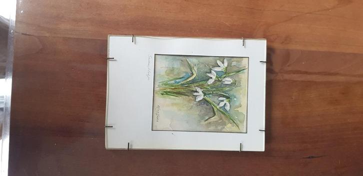 Aquarel van sneeuwklokje, Antiek en Kunst, Kunst | Schilderijen | Klassiek, Ophalen of Verzenden