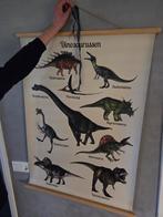 Schoolplaat Dinosaurus - Zo Goed Als Nieuw!, Ophalen of Verzenden