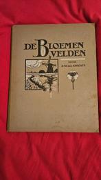 De Bloemenvelden door J.W. de Groot met steendruk (litho's), Ophalen of Verzenden