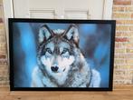 Wolf Print met Zwarte Lijst, Ophalen, 50 tot 75 cm, 75 tot 100 cm, Print