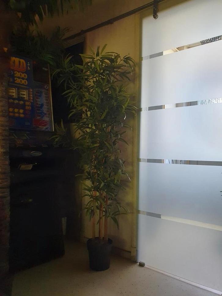 Kunst Bamboe Plant, Huis en Inrichting, Woonaccessoires | Kunstplanten en Kunstbloemen, Gebruikt, Binnen, Ophalen
