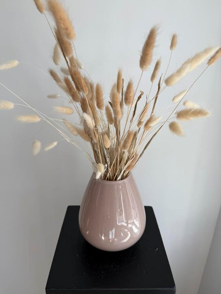 Vaas Riana ivory Ø18 x H20 cm (Tasman) - Vase the World, Huis en Inrichting, Woonaccessoires | Vazen, Nieuw, Overige kleuren, Minder dan 50 cm