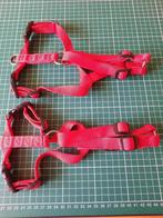 Hondentuigjes voor kleine hond maat medium, Ophalen of Verzenden, Zo goed als nieuw