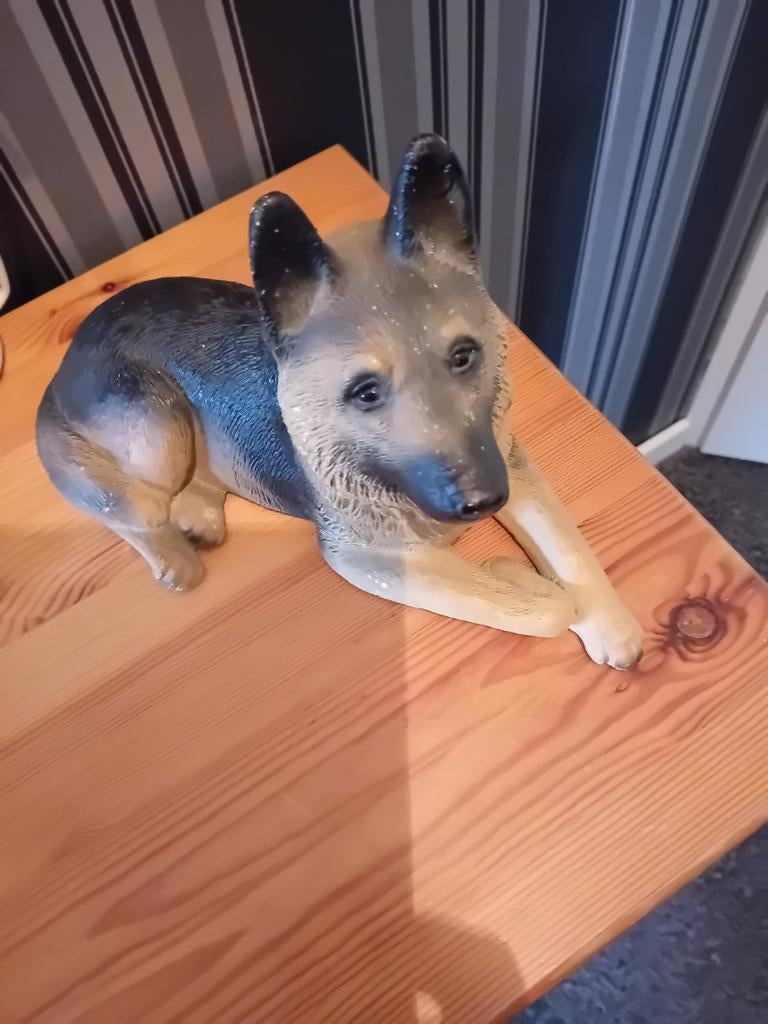 Herdershond van steen, Ophalen of Verzenden