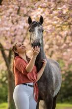 Talentvolle E Pony, Dieren en Toebehoren, Ruin