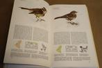 Het Beste vogelboek., Ophalen of Verzenden, Gelezen, Vogels