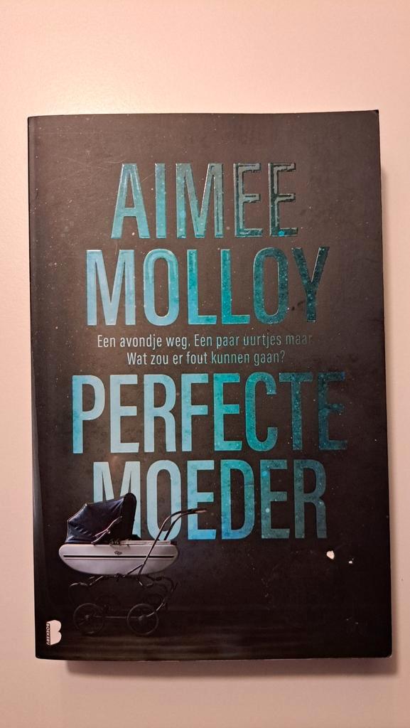 Aimee Molloy - Perfecte moeder, Boeken, Thrillers, Zo goed als nieuw, Nederland, Ophalen of Verzenden