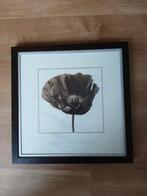 Ikea Lijst Schilderij Bloem 55,5x55,5 cm, Huis en Inrichting, Woonaccessoires | Schilderijen, Tekeningen en Foto's, Ophalen, 50 tot 75 cm