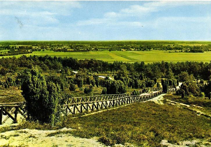 Ommen-Lemele, Panorama vanaf de Lemelerberg - 1980 gelopen, Verzamelen, Ansichtkaarten | Nederland, Gelopen, Overijssel, Voor 1920