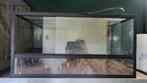 Klein terrarium, Ophalen, Terrarium of Paludarium