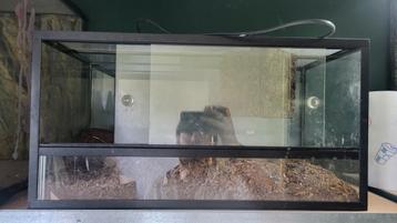 Klein terrarium  beschikbaar voor biedingen
