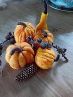 Genaaldvilte pompoenen,  Naaldvilten, wol., Ophalen of Verzenden, Nieuw, Figuurtje(s)