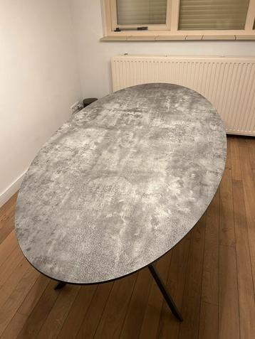 Ovale, industriële eettafel 6-persoons