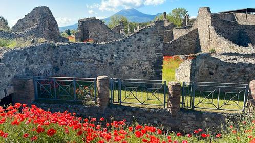 Pompeii plus: kaarten met digitale audiogids 9 mei 2025, Tickets en Kaartjes, Musea, Twee personen, Ticket of Toegangskaart