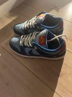 Nike sb x Why so sad, Nike SB Dunk Low, Blauw, Ophalen of Verzenden, Sneakers of Gympen