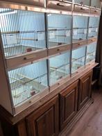 Gehu broedkooien, Ophalen, Gebruikt, Kunststof, Broedkooi of Kweekkooi